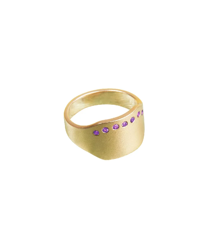 women’s minimalist rings-Henriette 14K Gold Ring w. Amethysts